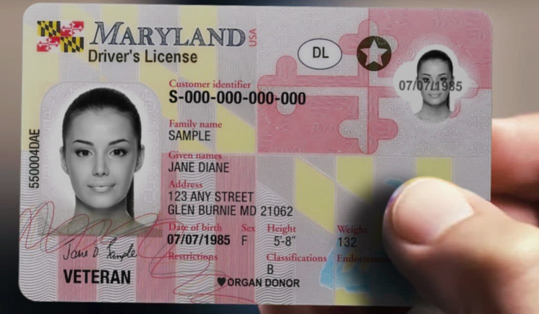 Maryland Provisional License